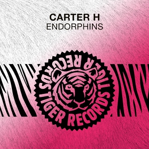 Обложка для Carter H - Endorphins