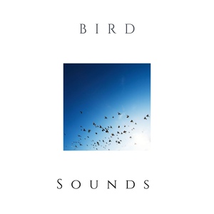 Обложка для Brenda Mensah - Bird Sounds