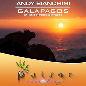 Обложка для Andy Bianchini - Galapagos (Bart Panco Remix)