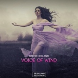 Обложка для Stefre Roland - Voice Of Wind (Original Mix)