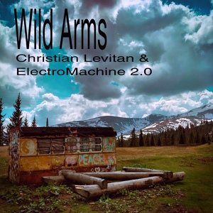 Обложка для Christian Levitan, ElectroMachine 2.0 - Into the Wilderness