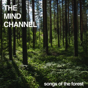Обложка для The Mind Channel - Clouds Parting
