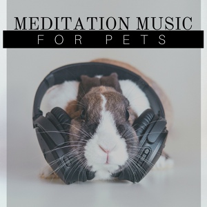 Обложка для Pet Therapy Music Zone - Deep Sleep