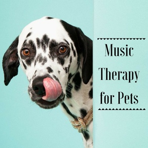 Обложка для Pet Therapy Music Zone - Tranquil Mood
