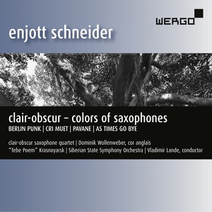 Обложка для clair-obscur Saxophonquartett, Dominik Wollenweber - Pavane. Variationen über einen Tanz aus El Maestro von Luis de Milán