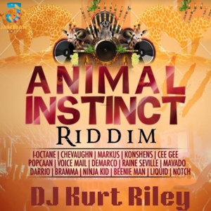 Обложка для DJ Kurt Riley, Notch - I Know What You Like