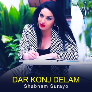 Обложка для Shabnam Surayo - Dar Konj Delam