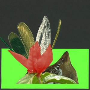 Обложка для Blu Ritual - Insects, Pt. 2