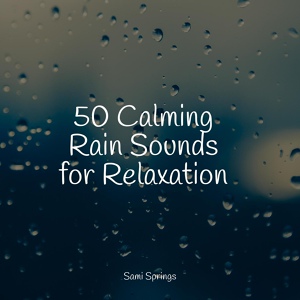 Обложка для Yoga Soul, Tinnitus, The Rainforest Collective - Rainy Summer