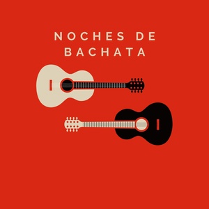 Обложка для Dj Pasion - Noches de Bachata