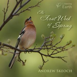 Обложка для Andrew Skeoch - The Blackbird Sings