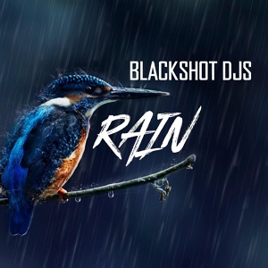 Обложка для BlackShot DJs - Rain