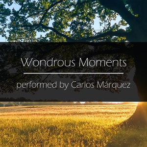 Обложка для Carlos Marquez - Ballade in C Minor