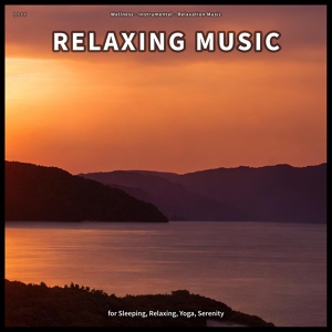 Обложка для Wellness, Instrumental, Relaxation Music - Sleep Music