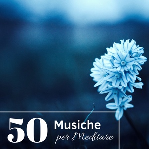 Обложка для Musica New Age Radio - Giostra Del Cielo