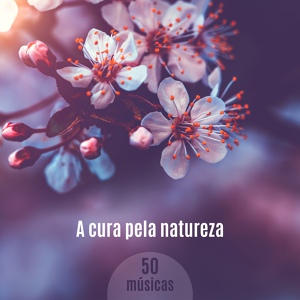 Обложка для Natureza Musica Bem-Estar Academia - Poder Curativo das Cores (Cromoterapia)