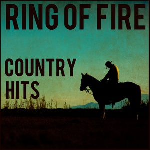 Обложка для The Country Dance Kings - Him or Me