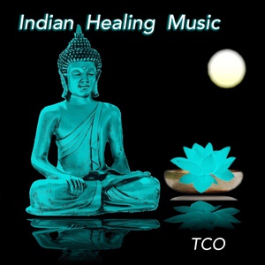 Обложка для TCO - Healing Indian Song