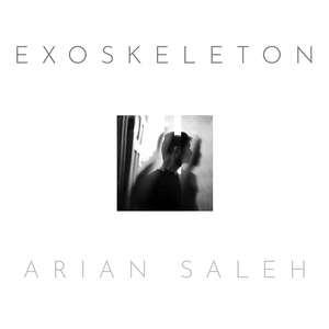 Обложка для Arian Saleh - Full Moon Drop