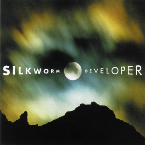 Обложка для Silkworm - Developer
