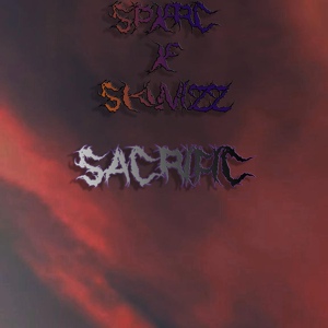 Обложка для SPXRC feat. skw1zz - SKYHILLS
