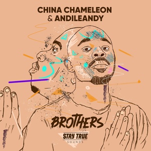 Обложка для China Charmeleon, AndileAndy - Brothers
