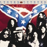 Обложка для Lynyrd Skynyrd - One In The Sun