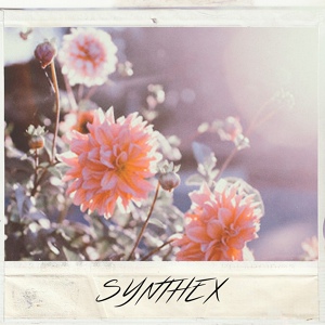 Обложка для SYNTHΞX - Evening Sadness