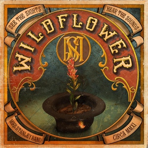 Обложка для Mike Stanley Band - Wildflower