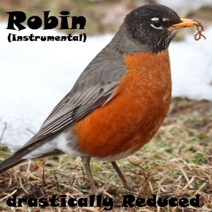 Обложка для drastically Reduced - Robin
