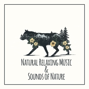 Обложка для Natural Sounds Music Academy - Discover Relax with Nature