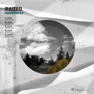 Обложка для Raized - Rz02