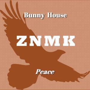 Обложка для Bunny House - Peace