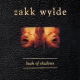 Обложка для Zakk Wylde - Sold My Soul