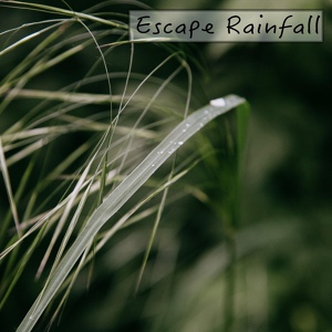Обложка для Rain Sounds - Healing Sounds
