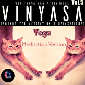 Обложка для Hatha Yoga, Vinyasa, Yoga, Yoga Music - Kashmir violin (Meditation Version)