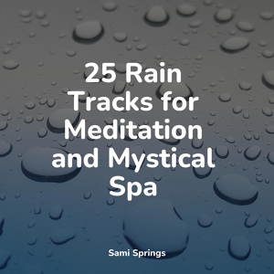 Обложка для Asian Zen Spa Music Meditation, Entspannungsmusik, Música Zen Relaxante - Droplets