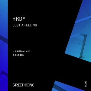 Обложка для HRDY - Just A Feeling (Dub Mix)