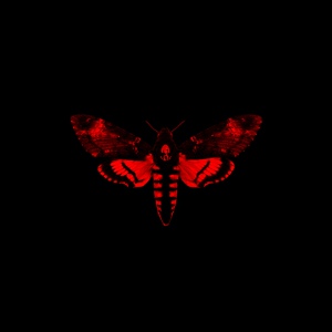 Обложка для Lil Wayne feat. Gunplay - Beat The S***