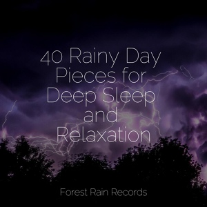 Обложка для Nature Sounds Radio, Música Relaxante, nature & Sounds Background - Holy Rains