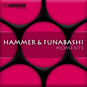 Обложка для Funabashi, Hammer - Moments