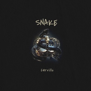 Обложка для carvillo - Snake