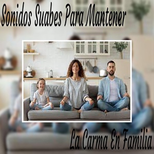 Обложка для Sonidos Suaves - Meditación Curativa