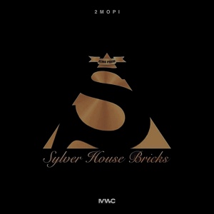 Обложка для Sylver House Bricks - Fudje