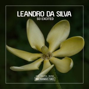 Обложка для Leandro Da Silva - So Excited