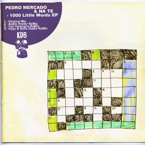Обложка для Pedro Mercado, Na Te - 1000 Little Words (Original Mix)