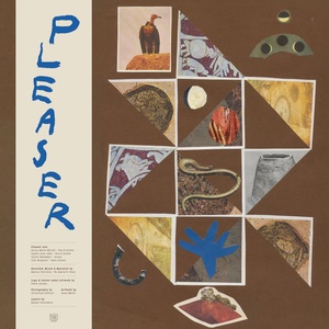 Обложка для Pleaser - The Dream