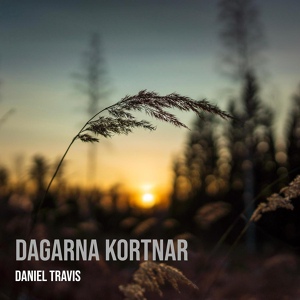 Обложка для Daniel Travis - Dagarna kortnar