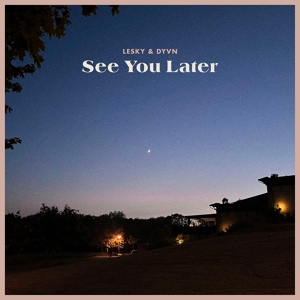 Обложка для LESKY, DYVN - See You Later