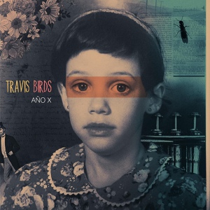 Обложка для Travis Birds - Creature Of The Night